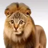 nicanortagaro