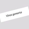 Vi!nzzgemorta🕸️