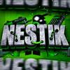 nestek_17