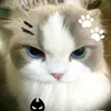 _goi.to_la.chipp