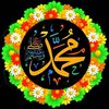 nauman.nomi9