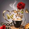 sushila.chaudhary231