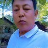 tiger.gyi14