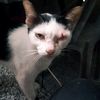 kamu._118
