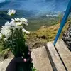 glazela.conceicao