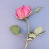 user9301609431378