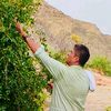 user371921134