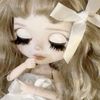 mushroomvn3729