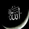 user3843432819955