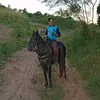 _silva1200