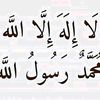 ibrahimsamaila00