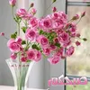 abosouhaib6