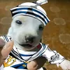 jp_z18