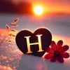 user759020042508