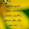 user2499932281204