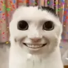 ara_9163