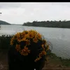 sandra.brito228