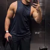 mam_rewy74