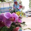 hoa.huynh450