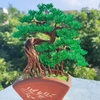 Hồng Quân Bonsai