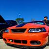 the_stang04
