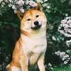 notnhaccamxuc1