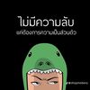 pongpo59