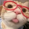 niya_yaz
