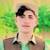 nisar.ahmad.sadi