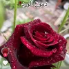 hdudh.shhd