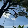 tigermdcsnd