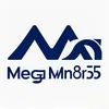 MegaMart365