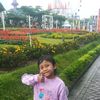 cesya831