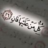 mohamed.salem4686