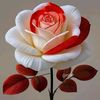 user51330309031691