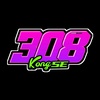 kongse308