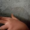 abayykan_9