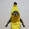 daoukalbo