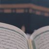 reyhaneh.edrayesh