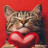 hamib.nemiry