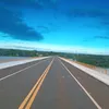 chico.galinha3
