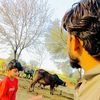 shahzad_kahloon_90