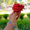 israt.jahan.nishi46