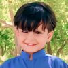 habibullah2924
