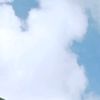 mhdav42