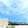_ibra19