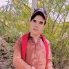 alikhani335