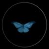 user7103238129004