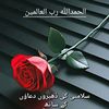 Nazeer M Nazeer