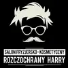 rozczochranyharry